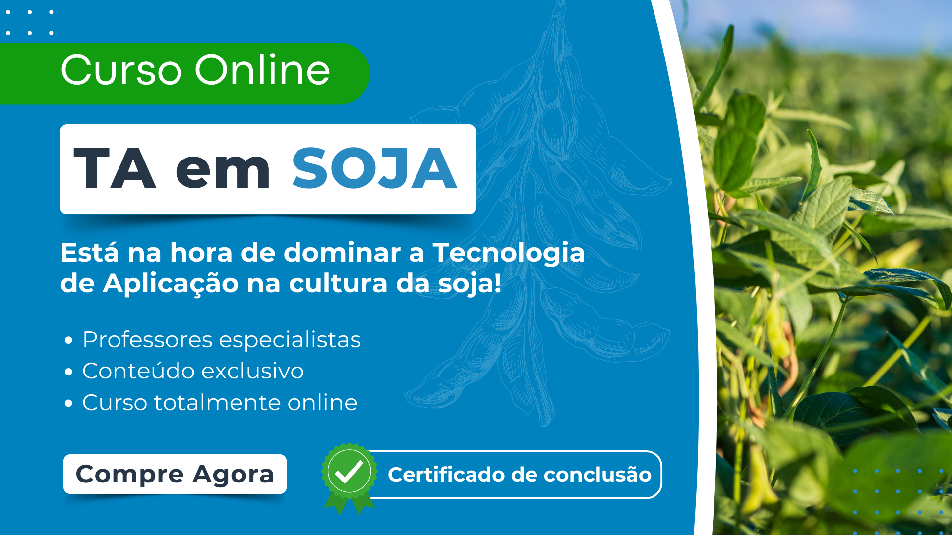 TA em SOJA - CAPA SITE